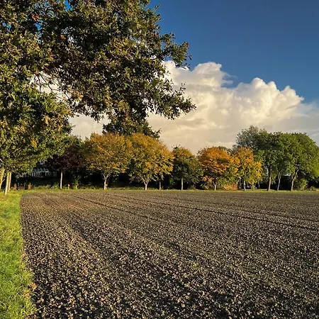 Tiny House Pioneer - Katrins Ferienhof シリヒ